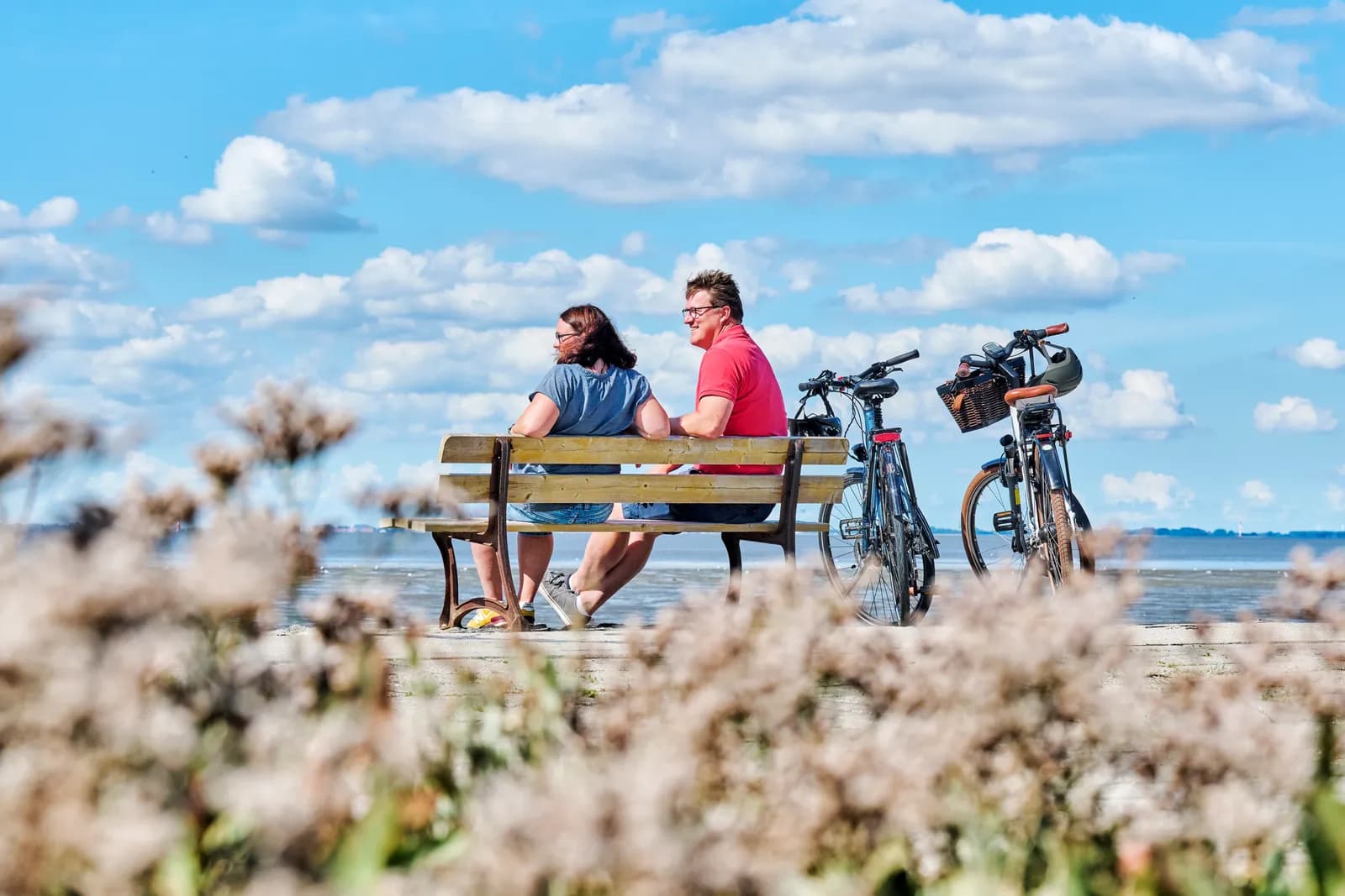 Weite Marschlandschaft im Abendrot