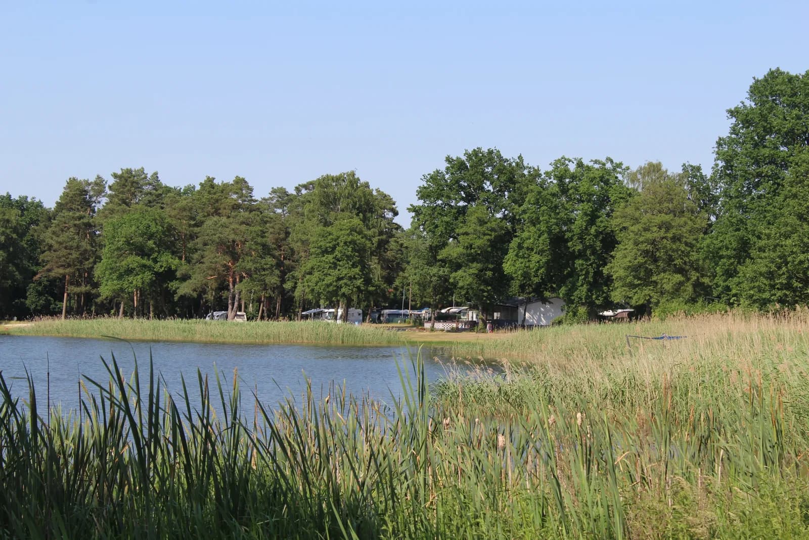 Stiller See mit Schilfgürtel, dahinter Bäume und ein Campingbereich
