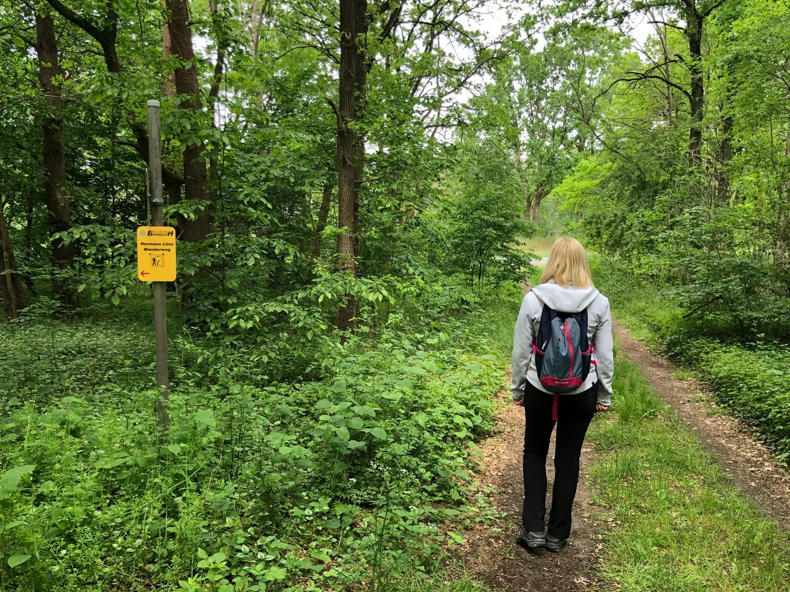 Eine Frau mit Rucksack geht auf einem schmalen Weg durch dichten Wald