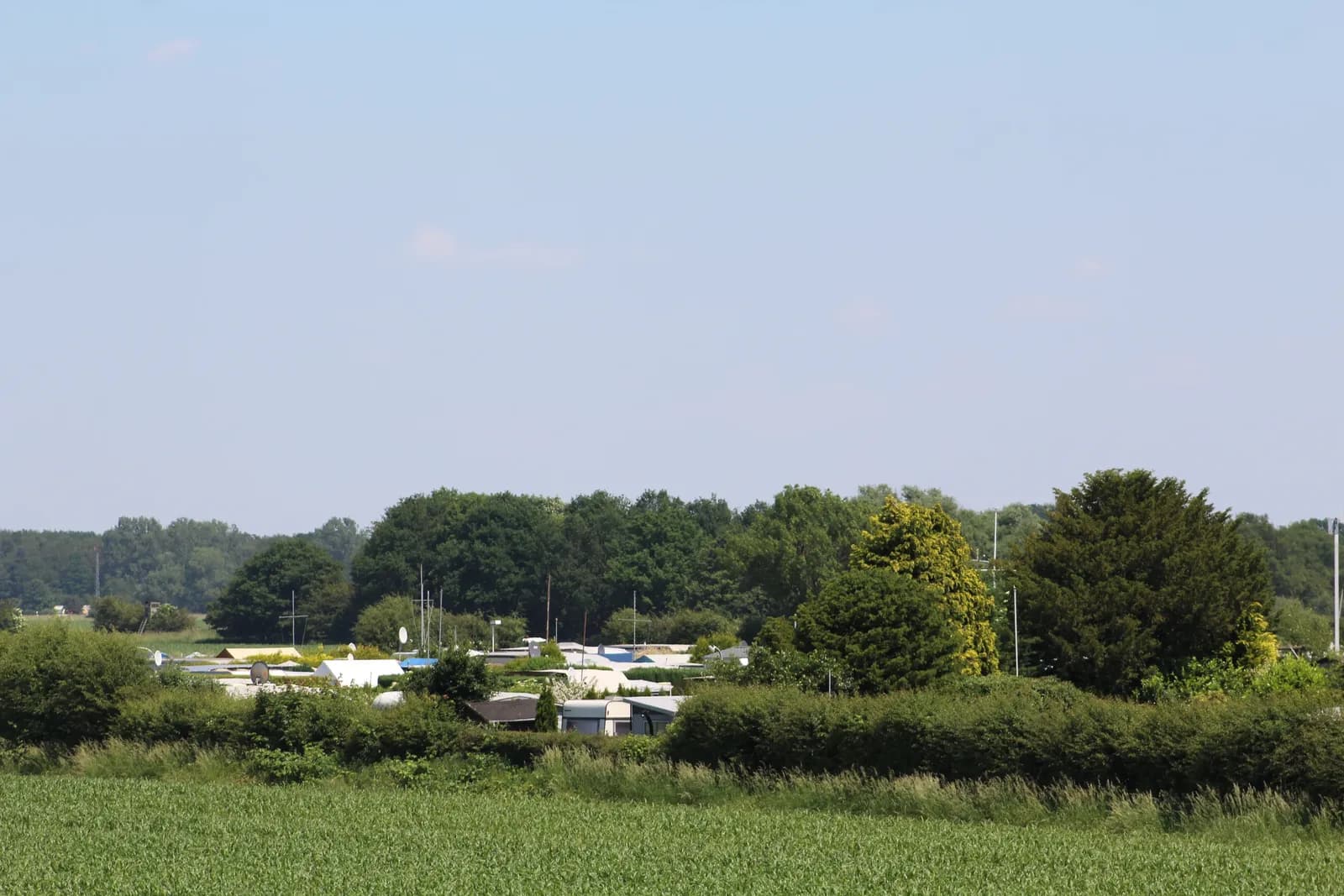 Campingplatz mit Wohnwagen zwischen grünen Büschen, dahinter Wald