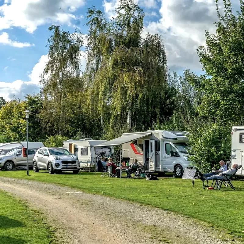 Wohnmobile und Wohnwagen auf einer Wiese unter Birken, Gäste sitzen in Campingstühlen davor